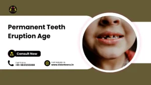 Permanent teeth eruption age
